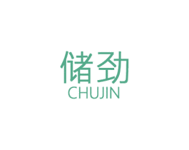 储劲 第28类体育玩具商标图样