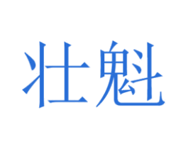 壮魁 第28类体育玩具商标图样