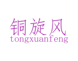 铜旋风 第28类体育玩具商标图样