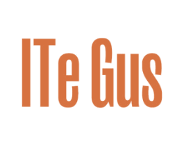 ITE GUS 第19类建筑材料商标图样