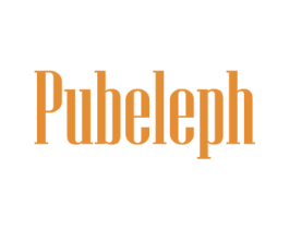 PUBELEPH 第19类建筑材料商标图样