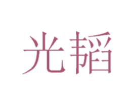 光韬 第18类皮革箱包商标图样