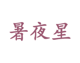 暑夜星 第9类科学仪器商标图样