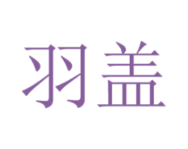 羽盖 第9类科学仪器商标图样