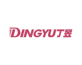 丁昱 第28类体育玩具商标图样