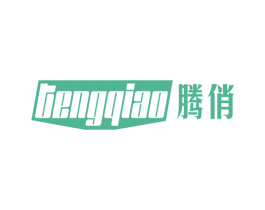 腾俏 第9类科学仪器商标图样