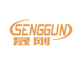 晟刚 SENGGUN 第9类科学仪器商标图样