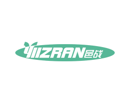 邑战 YIIZRAN 第9类科学仪器商标图样
