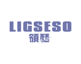 领瑟 LIGSESO 第9类科学仪器商标图样