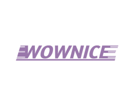 WOWNICE 第12类运输工具商标图样