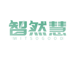 智然慧 WITSOGOOD 第9类科学仪器商标图样