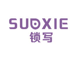 锁写 第9类科学仪器商标图样