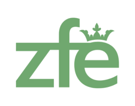 ZFE 第28类体育玩具商标图样