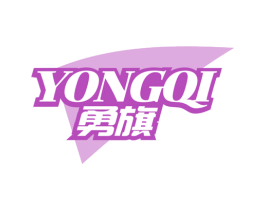 勇旗 第28类体育玩具商标图样