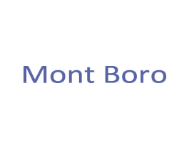 MONT BORO 第18类皮革箱包商标图样