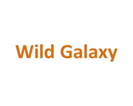 WILD GALAXY 第25类服装鞋帽商标图样