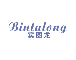 宾图龙 第25类服装鞋帽商标图样