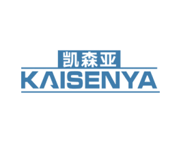凯森亚 第21类厨房洁具商标图样