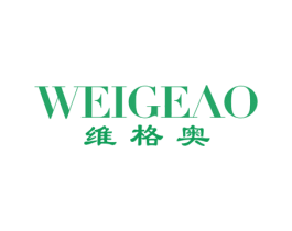 维格奥 第18类皮革箱包商标图样