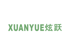 炫跃 第9类科学仪器商标图样