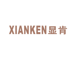 显肯 第9类科学仪器商标图样