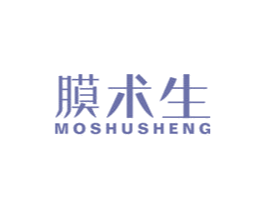 膜术生 第9类科学仪器商标图样