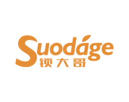 锁大哥 第9类科学仪器商标图样