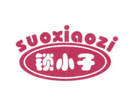 锁小子 第9类科学仪器商标图样