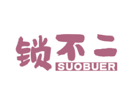 锁不二 第9类科学仪器商标图样