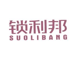 锁利邦 第9类科学仪器商标图样