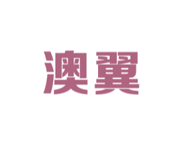 澳翼 第6类五金金属商标图样