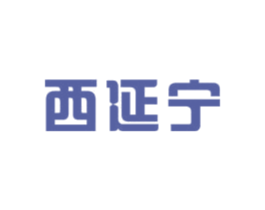 西延宁 第5类医药商标图样