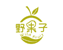 野果子 WILD FRUIT 第21类厨房洁具商标图样