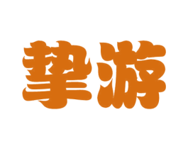 挚游 第9类科学仪器商标图样