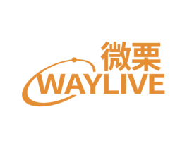 微栗 WAYLIVE 第9类科学仪器商标图样