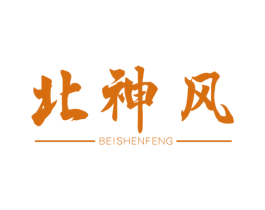 北神风 第25类服装鞋帽商标图样