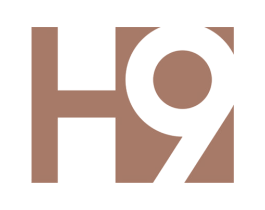 H 9 第29类食品商标图样
