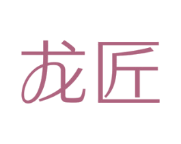 龙匠 第36类金融物管商标图样