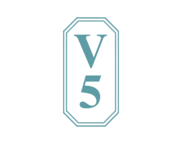 V 5 第22类绳网袋篷商标图样