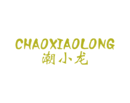 潮小龙 第25类服装鞋帽商标图样