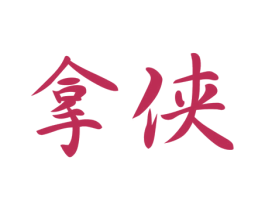 拿侠 第9类科学仪器商标图样