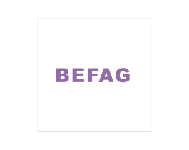 BEFAG 第19类建筑材料商标图样