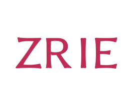 ZRIE 第42类技术服务商标图样
