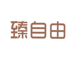 臻自由 第9类科学仪器商标图样