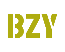 BZY 第27类地毯席垫商标图样