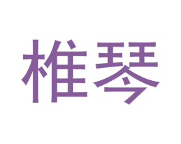 椎琴 第25类服装鞋帽商标图样