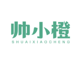 帅小橙 第9类科学仪器商标图样