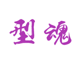 型魂 第25类服装鞋帽商标图样