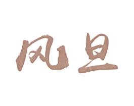 风旦 第25类服装鞋帽商标图样