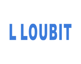 L LOUBIT 第25类服装鞋帽商标图样